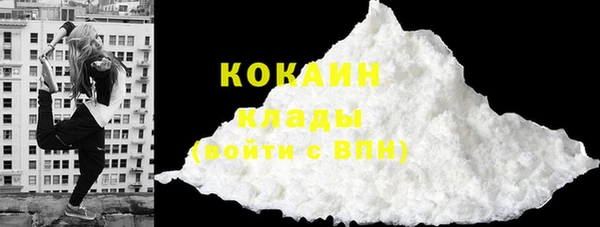 хмурый Арсеньев