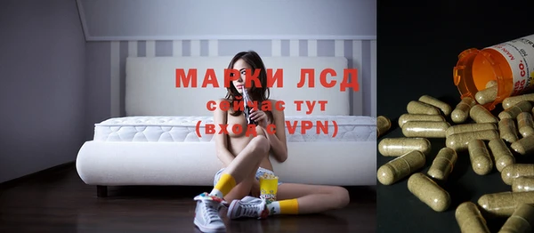 хмурый Арсеньев