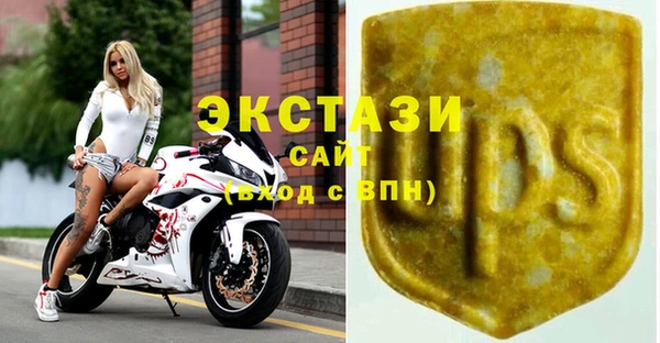 хмурый Арсеньев