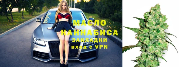 хмурый Арсеньев