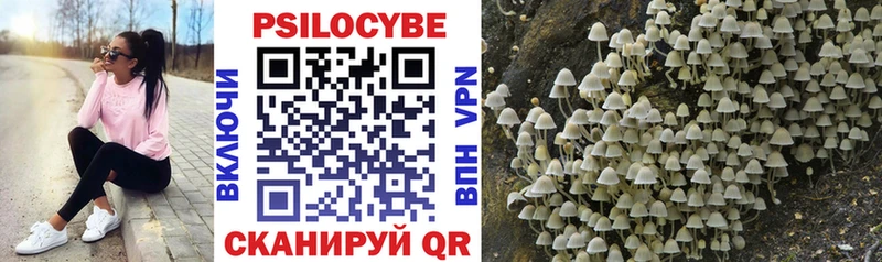 Псилоцибиновые грибы мицелий  Купить закладки  Стародуб 